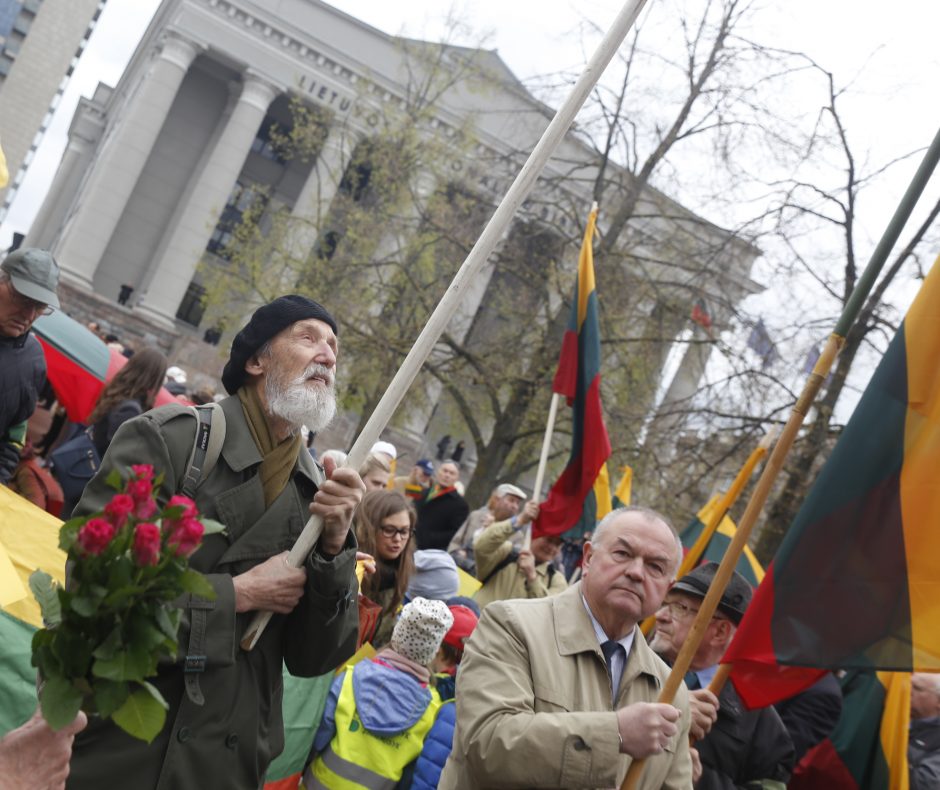 Surengė eitynes: Lietuvos valstybės vėliavai – šimtas metų