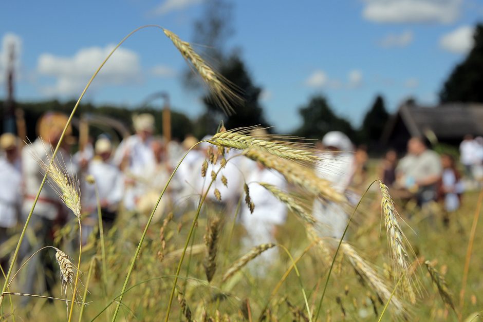 Oninių šventė ir moterų kilnojimas į orą sužavėjo ir kinus