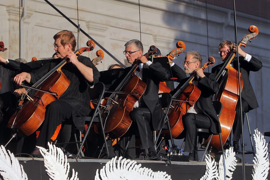 Pažaislio muzikos festivalio pradedamasis koncertas