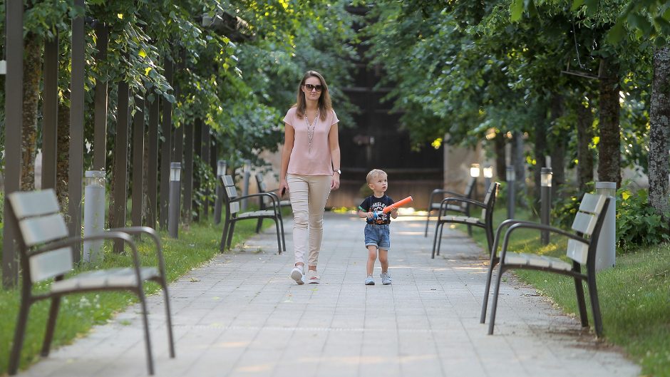 „Pažaislio liepų alėjos vakarų“ atidarymas