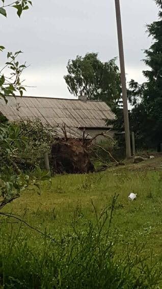 Škvalas Lietuvoje vartė medžius, plėšė stogus: be elektros buvo tūkstančiai žmonių