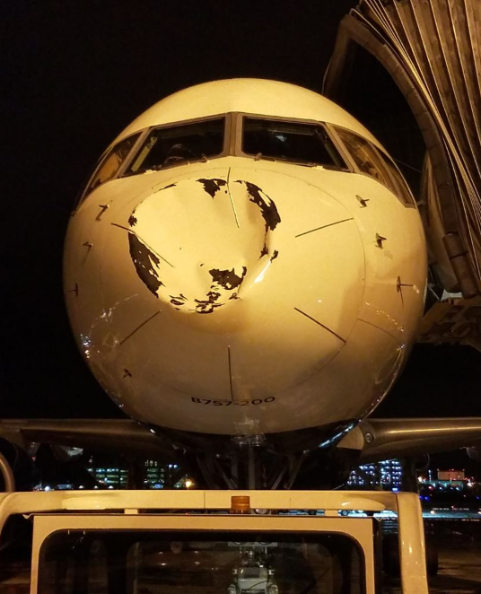 Per plauką nuo tragedijos: į „Thunder“ lėktuvą rėžėsi nežinomas objektas