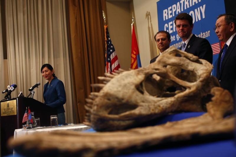 JAV grąžino Mongolijai tiranozauro griaučius