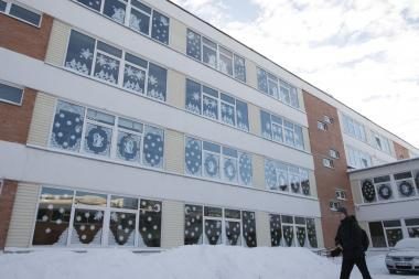 Karpinių šerkšnas išmargino „Ąžuolyno“ gimnazijos langus