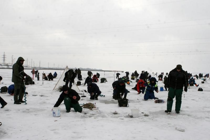 Stintos ant Kuršių marių ledo priviliojo tūkstančius žvejų 