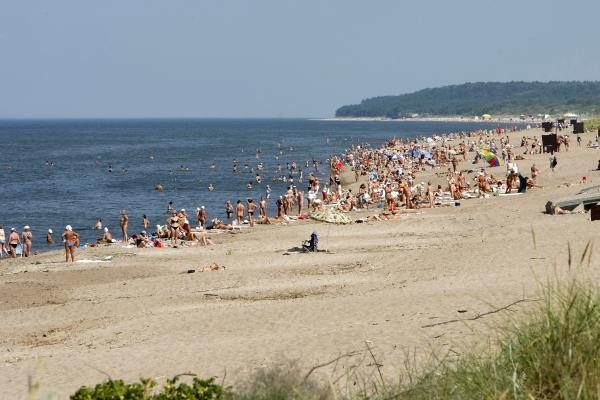 Baltijos jūrą teršiantys dumbliai išnyko