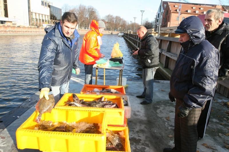 Politikai vėl gaivina prekybą žuvimis Danės upėje