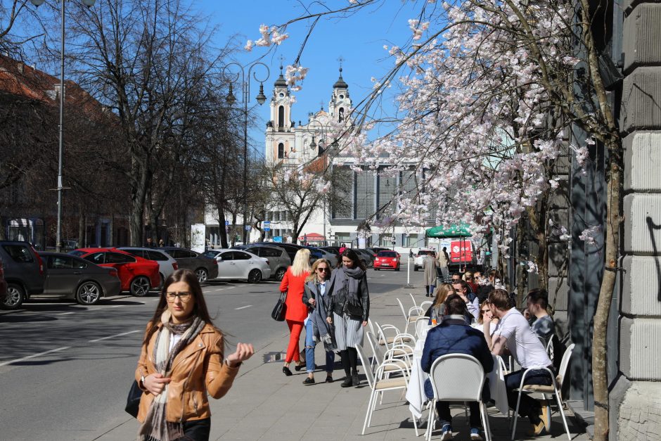 Didmiesčių merai siunčia nerimo signalą dėl alkoholio ribojimo