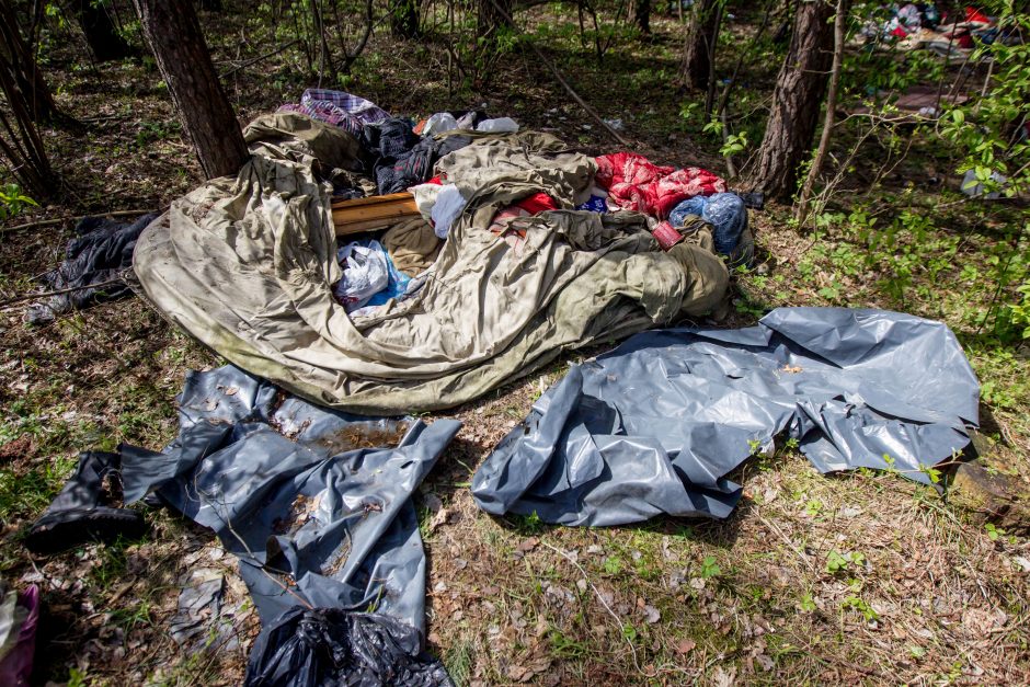 Šiurpi mirtis: Kleboniškio miške sudegė benamis