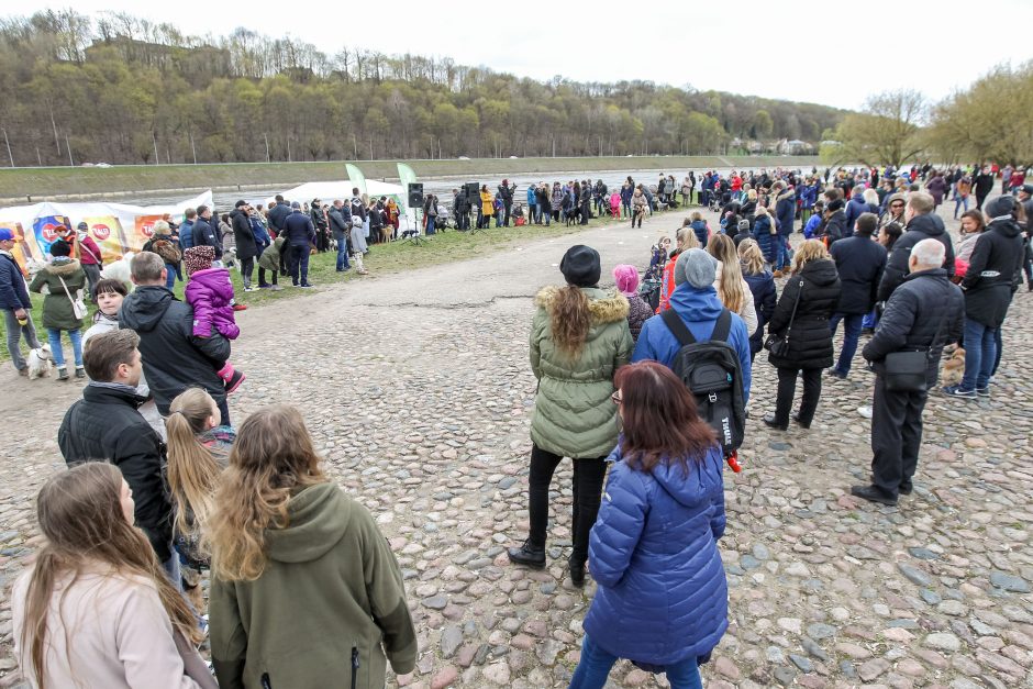 Kaune pirmąkart paminėta Šuns diena: vicemeras atsivežė keturkoję Pamelą