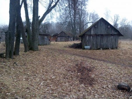 Skelbimas - Parduodama senoviška sodyba Norkūnų k., Rokiškio r. su 18,79 ha sklypa