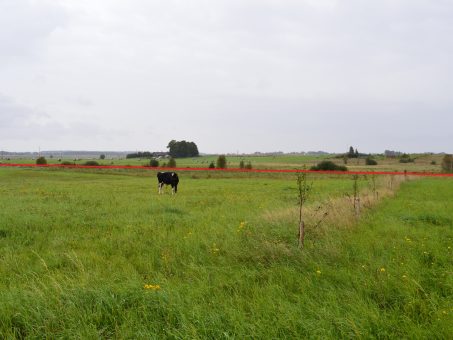 Skelbimas - Parduodu 1,16 ha. žemės ūkio sklypą Mickuose