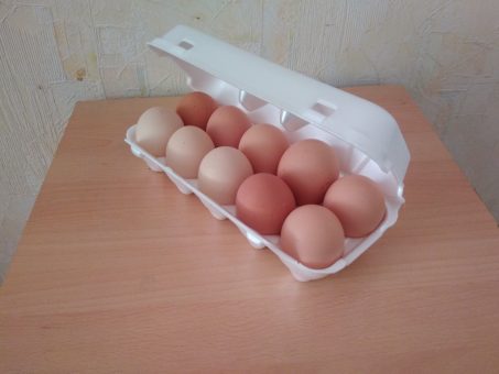 Skelbimas - Kaimiški kiaušiniai