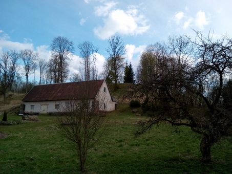 Skelbimas - Parduodama sodyba gražiame gamtos kampelyje Stirniškių k., Kupiškio r.