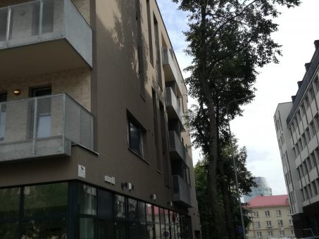 Skelbimas - Vilnius, Žvėrynas, Liepyno g., 1 kambarių buto nuoma 