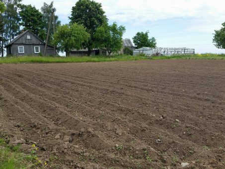 Skelbimas - Tvarkinga sodyba- vienkiemis Milvydų k., Kėdainių r.