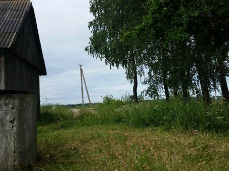 Skelbimas - Tvarkinga sodyba- vienkiemis Milvydų k., Kėdainių r.