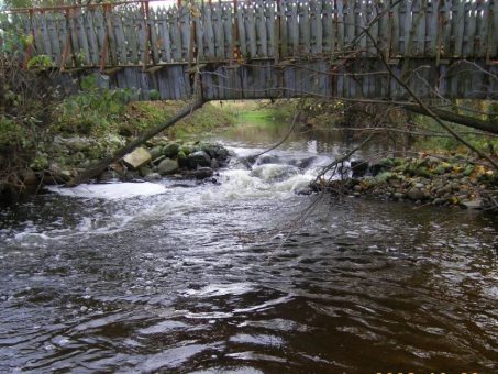 Skelbimas - Erdvi kaimo turizmo sodyba ant Siesarties upelio krantų Šakių r.