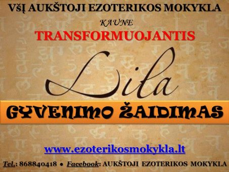 Skelbimas - Transformuojantis Gyvenimo žaidimas gyvai LILA+teorija - Kaune
