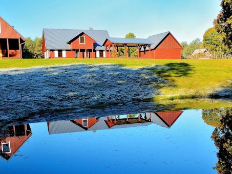 Skelbimas - Kaimo turizmo sodybos Druskininkuose nuoma - "Dzūkijos uoga"