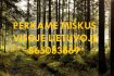 Skelbimas - Perkame miškus visoje Lietuvoje