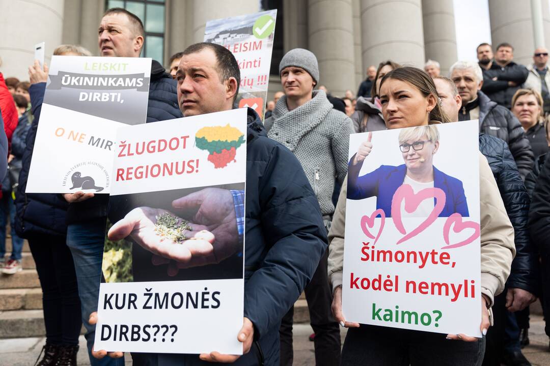 Lietuvos pieno gamintojų mitingas prie Seimo