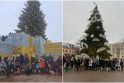 Tradicija: kasmet įvairiuose miestuose prie pagrindinių Kalėdų eglių renkasi spanielių mylėtojai su savo augintiniais.