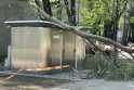 Incidentas: pasenę medžiai jau ne pirmąkart parke pridaro bėdų, o šį kartą žala atsieis tūkstančius eurų.