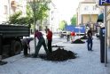 Tęsinys: trečiadienį Vytauto gatvės ruože buvo pasodinti medeliai, dabar darbininkų sulauks važiuojamoji kelio dalis.