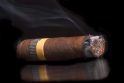 Kubietiškų cigarų pardavimai pernai atsigavo 