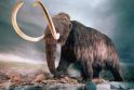 Rusijoje vienuolikmetis atrado 30 tūkst. metų amžiaus mamutą