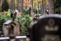 Kur yra mirtiniausia vieta Žemėje? (15 mirusiųjų - kiekvienam gyvajam) Kur yra mirtiniausia vieta Žemėje? (15 mirusiųjų - kiekvienam gyvajam)