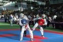 Europos jaunių taekvondo čempionato bronza - klaipėdiečiui