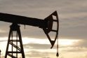 Klaipėdos apskritis nepritarė naftininkų planams