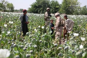 JT: Mianmaras aplenkė Afganistaną ir tapo didžiausiu opijaus gamintoju pasaulyje