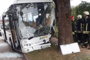 Prienuose į medį rėžėsi autobusas: dėl avarijos kaltas vabzdys? 