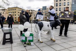 Protestuojantys pienininkai: ministrui turbūt reikėtų pasimuilinti ausis ir nusiplauti liežuvį