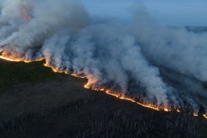 Kazachstane miškų gaisruose žuvo keturiolika žmonių