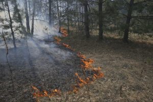 Ugniagesiai vis dar gesina aplink Černobylį liepsnojančius gaisrus