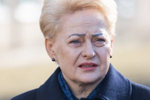 D. Grybauskaitė: valdantiesiems reiktų elgtis diplomatiškiau