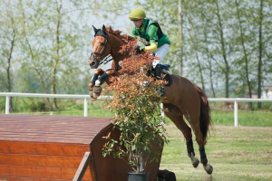 Trikovės raitelis A. Vitkauskas – apie sportą, iššūkius ir ambicingus ateities planus