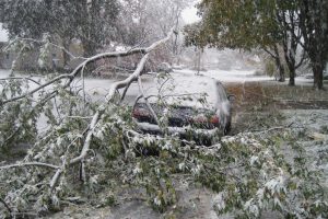 Žiema priminė, kada reikia ruošti roges