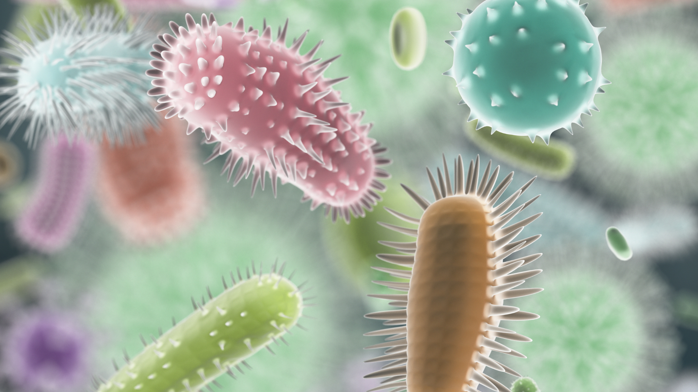 Good bacteria for women