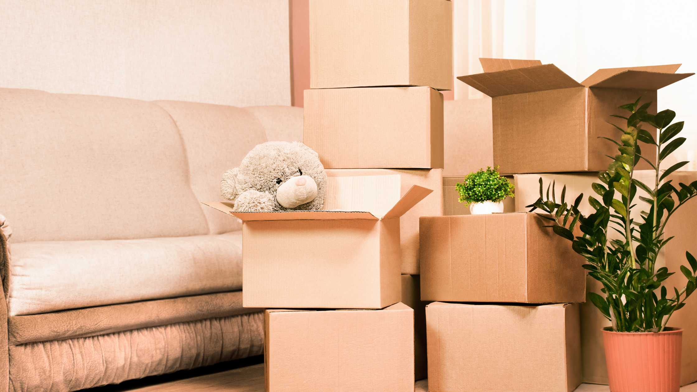 Rental of pantry: Practical solution