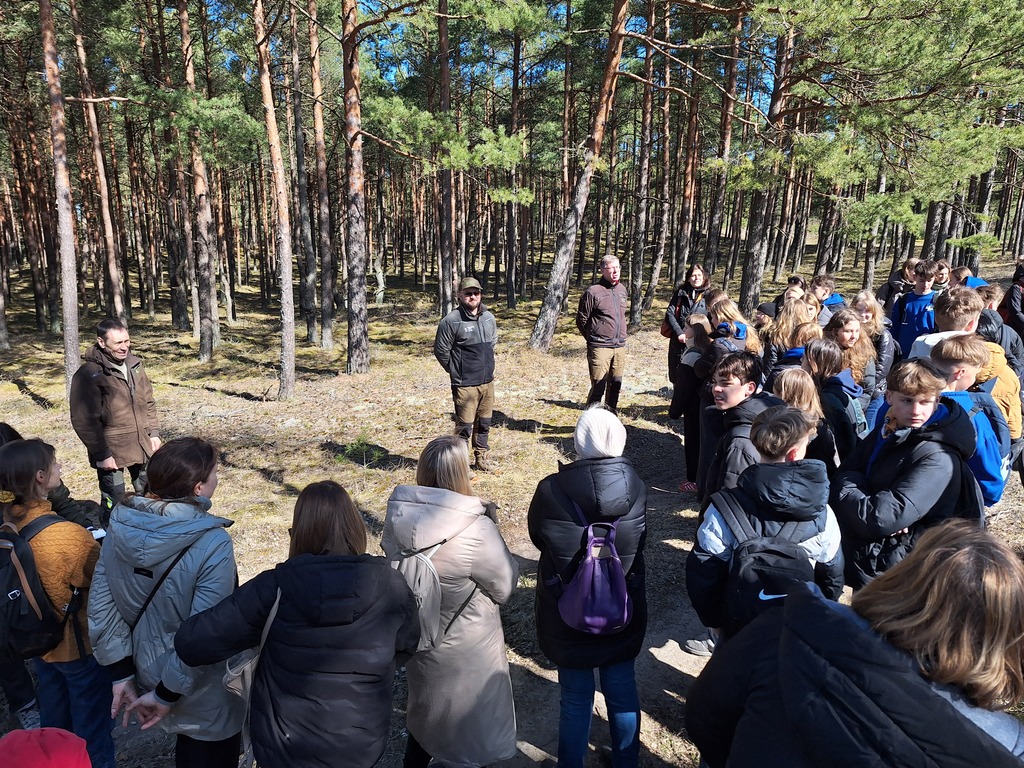 On the occasion of two holidays – two thousand pine trees