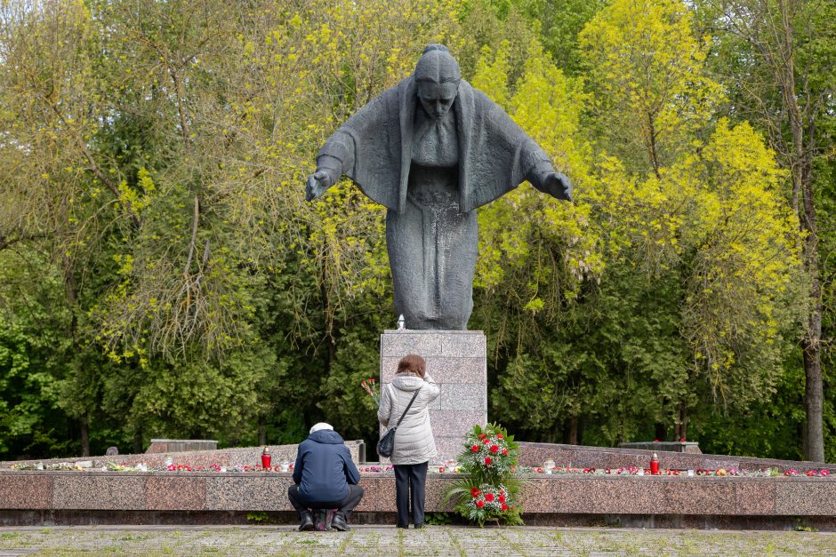 Of the red carnations of the rods – the statements of Russian propaganda