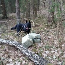 Kontrabandininkams sučiupti – ir tarnybinis šuo, ir ginklas