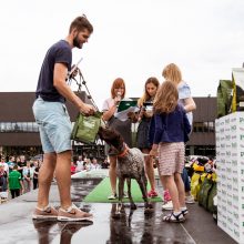 Pirmasis šunų šuolių į vandenį turnyras Lietuvoje: kova buvo įtempta