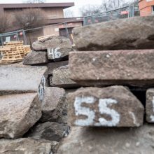 Protestuotojai nori gelbėti Kauko laiptų medžius