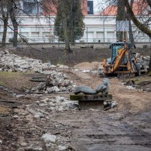 Protestuotojai nori gelbėti Kauko laiptų medžius